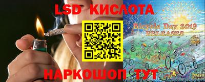 дурь Камышлов