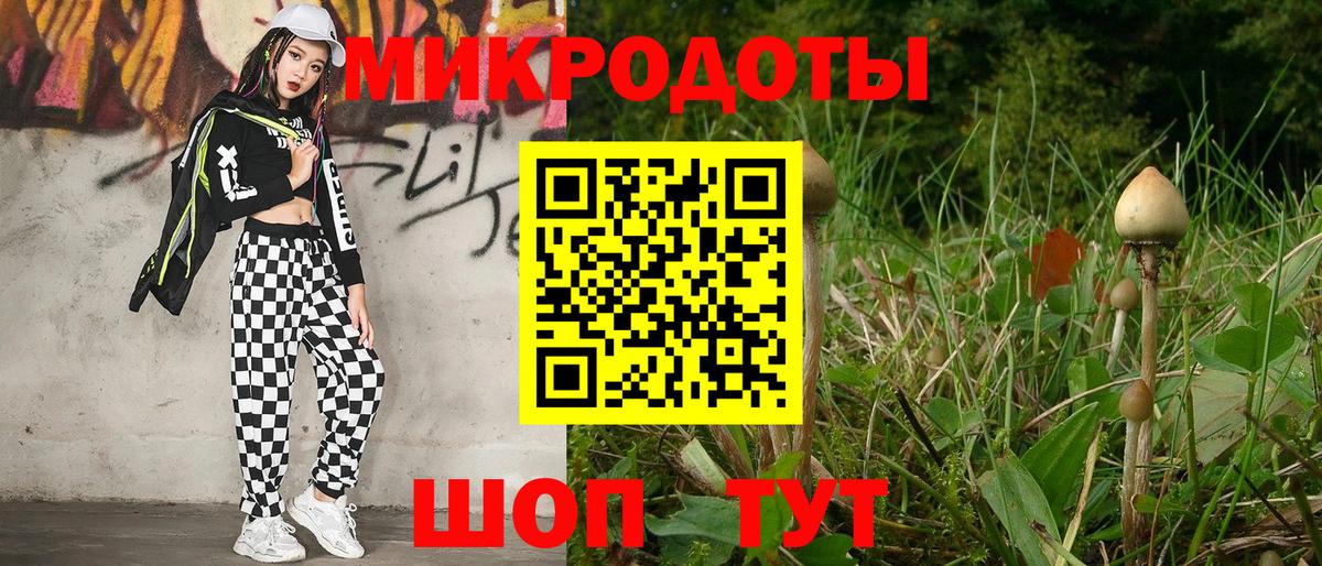 Кольчугино  что такое   Вход с VPN  Псилоцибиновые грибы Psilocybe 