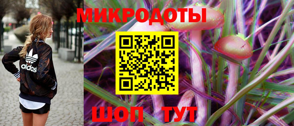 Галлюциногенные грибы Psilocybine cubensis Кольчугино