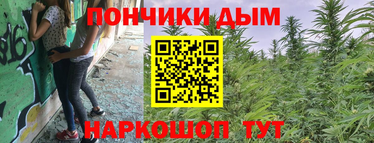 Бошки марихуана MAZAR Кольчугино